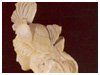 La statua di Athena del Museo Archeologico Nazionale della Valle Canonica