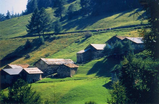 Case di Viso Ponte di Legno