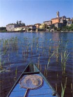 Clusane