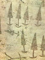 Arte rupestre della Val Camonica - le incisioni 