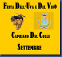 Festa dell'Uva e del Vino Capriano del Colle